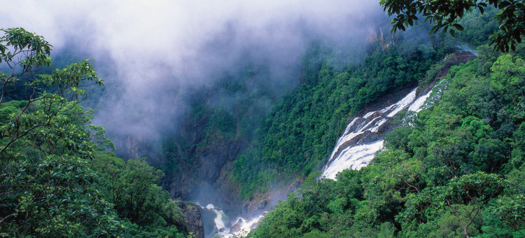 luxury car hire Cairns