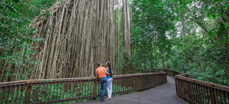 luxury car hire Cairns