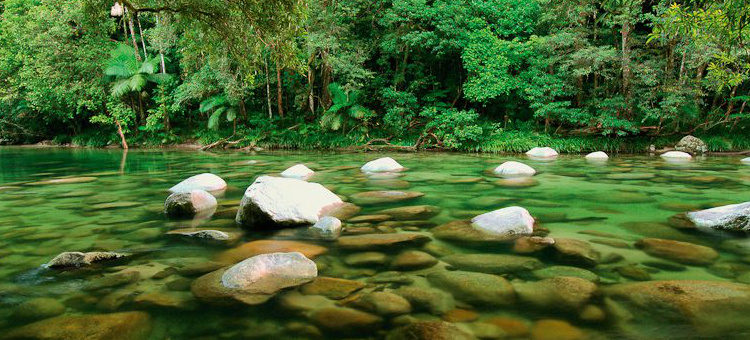 convertible car rental Cairns