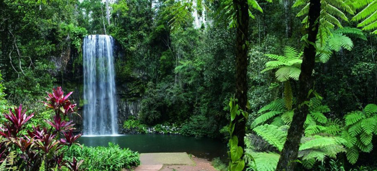 Cairns luxury car hire